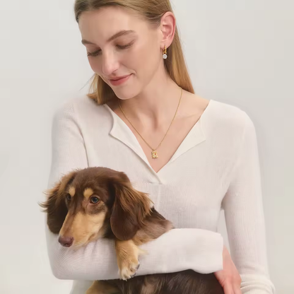 Lumière Paw
