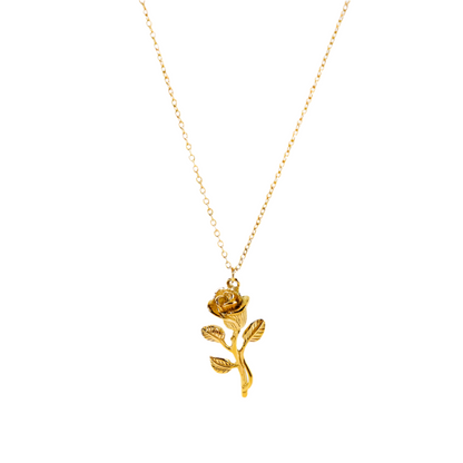Alma Brillante