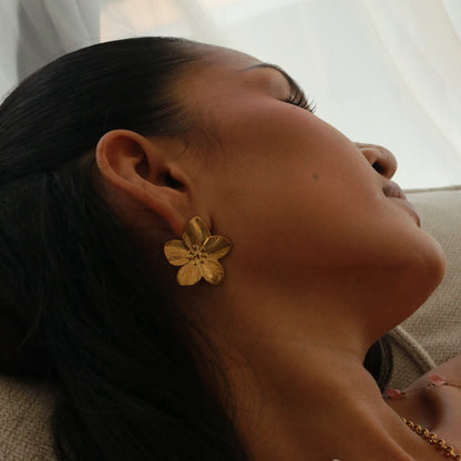 Araya Shine